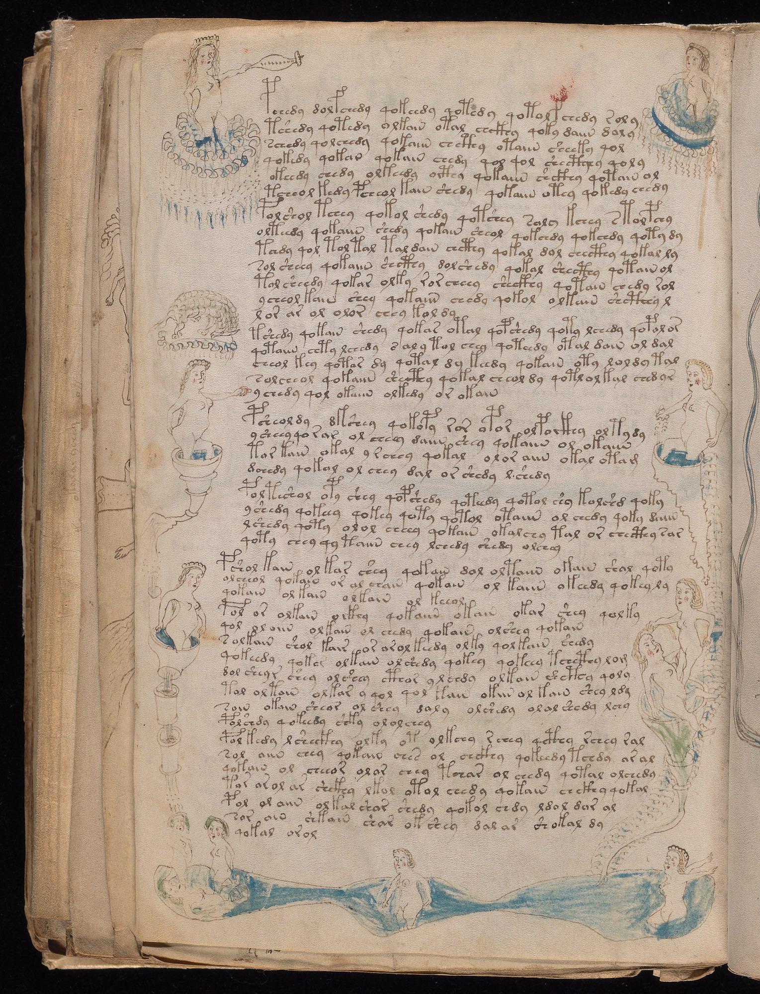 Voynich Manuscript folio f80v — Beinecke MS 408